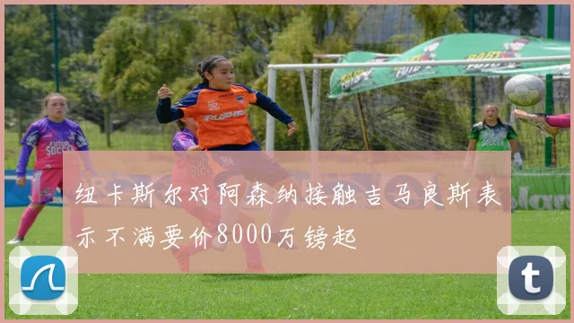 纽卡斯尔对阿森纳接触吉马良斯表示不满要价8000万镑起
